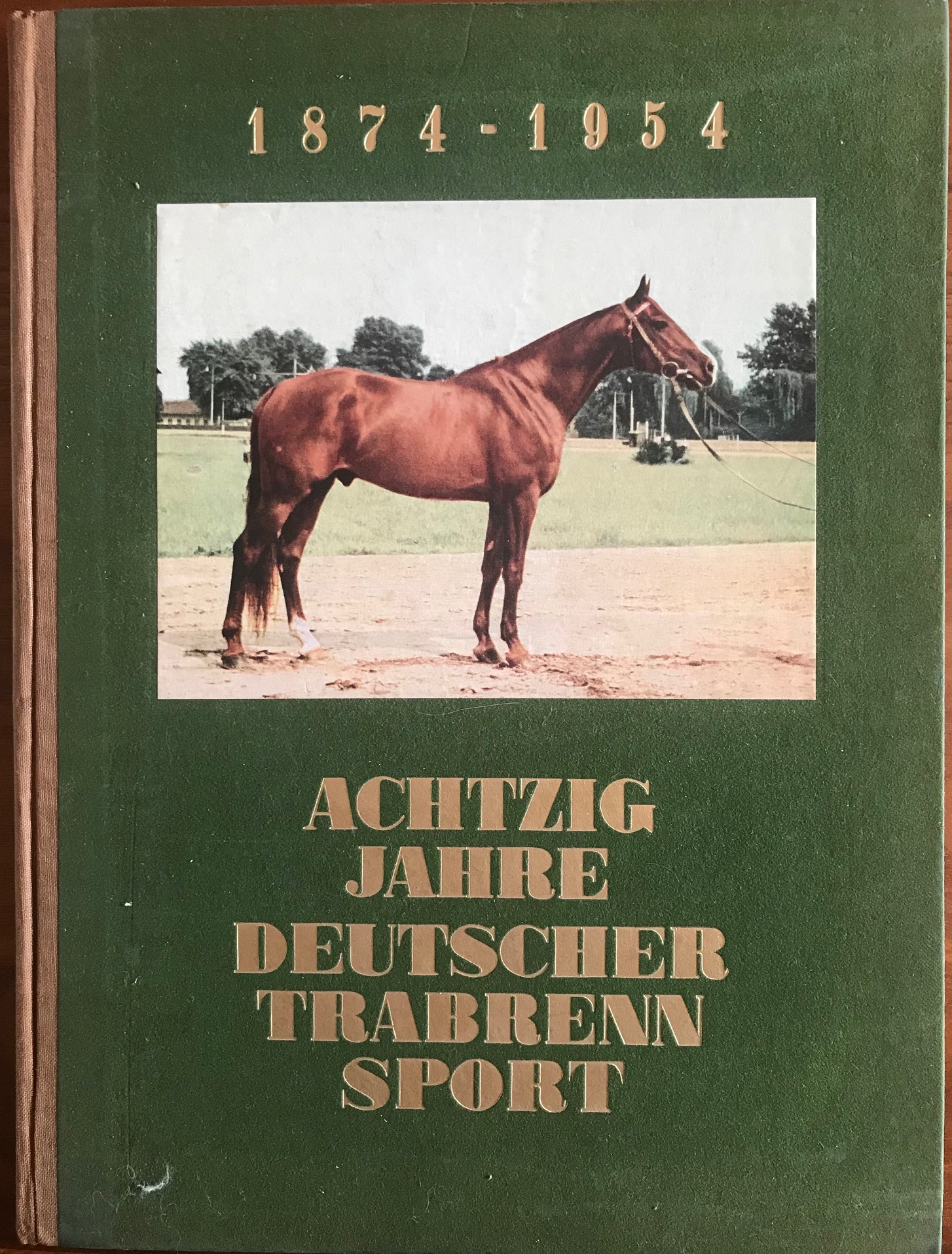 Sonderposten und -Angebote